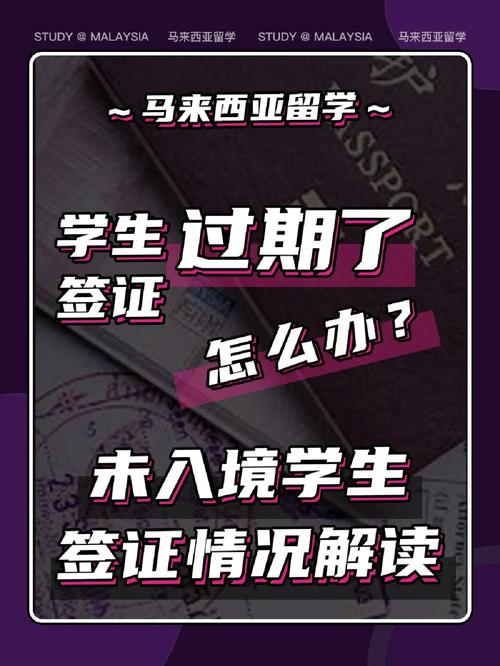 新2025澳门天天开好彩十二生肖图和美停止发放学生签证与美国放开学生签证