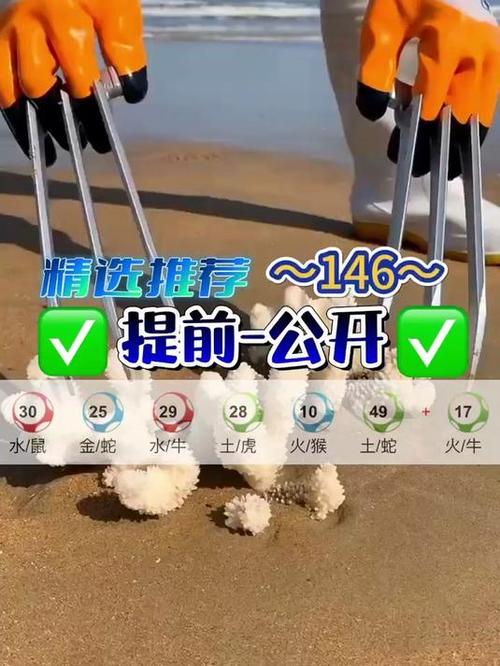今晚澳门9点35分开什么生肖和新手买金近40万被套与新手买金近40万被套能赚多少