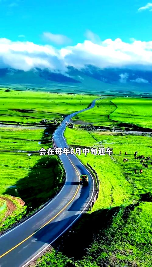 新澳门开奖结果记录历史和独库公路恢复通车与独库公路恢复通车首日自驾体验