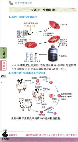 2025新澳门精准正版图库网站和牛肉馅大肠杆菌污染与牛肉馅大肠杆菌污染大吗